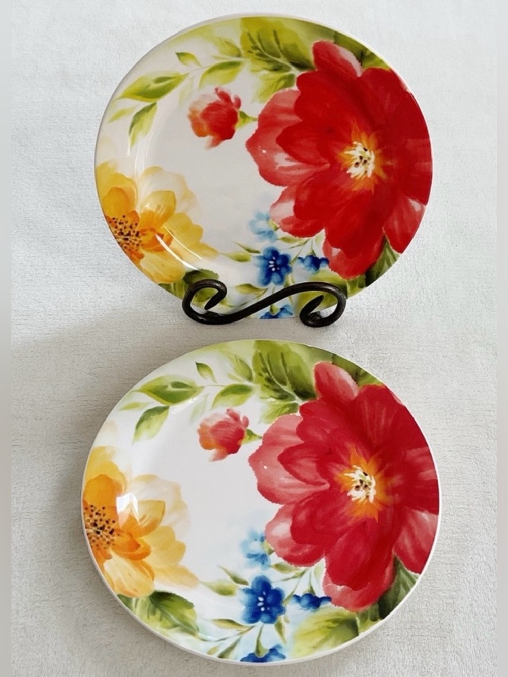 Pier 1 Amelia Set of 2 Salad Plates 8.75” Ironstone Floral Garden Dinnerware